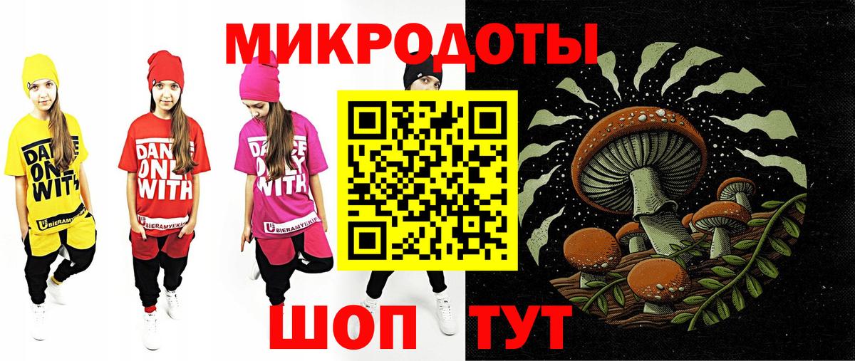 Псилоцибиновые грибы Psilocybe Кушва
