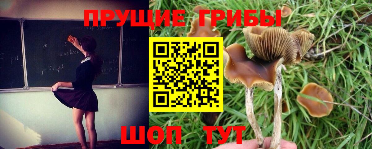 Кушва  Псилоцибиновые грибы мухоморы  Псилоцибиновые грибы Magic Shrooms  Вход с VPN 